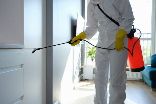 Best Mold Remediation for Healthcare Facilities  in Hewitt, TX